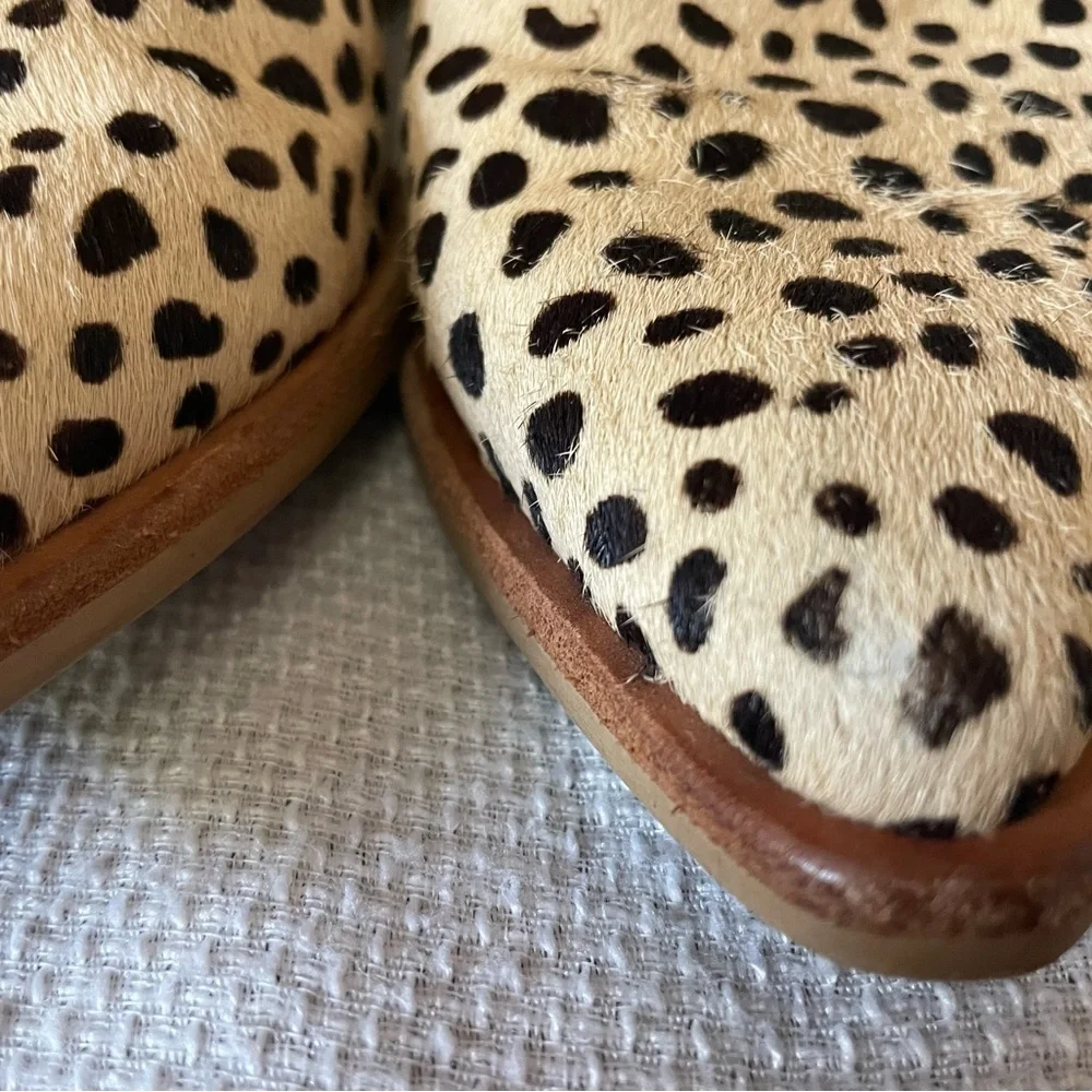 Dolce Vita Sonni Pointe bootie